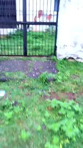 ग्राम पंचायत amgawanसलैया टीकाकरण के दिन भी आंगनवाड़ी केंद्र ना ना एएनएम टाइम एएनएम आशा आंगनवाड़ी जिम्मेदार नहीं दे दे