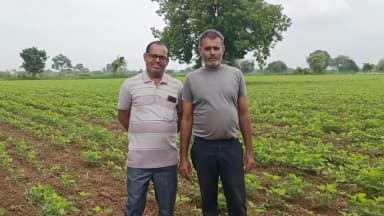 बुरहानपुर नगर: दो भाइयों ने 25 साल से खेती कर लाखों रुपये कमाए