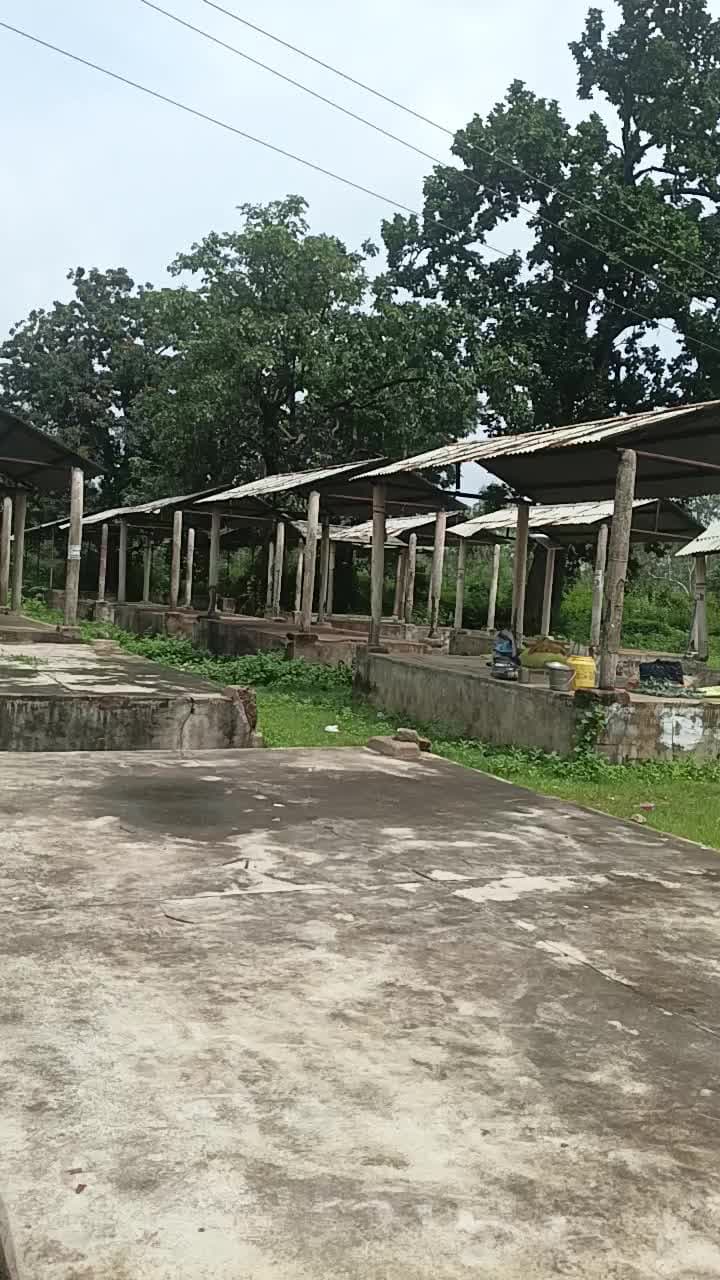 garam bijaha post bijaha thana tahseel jaysinghnagar jila shahdol m.p