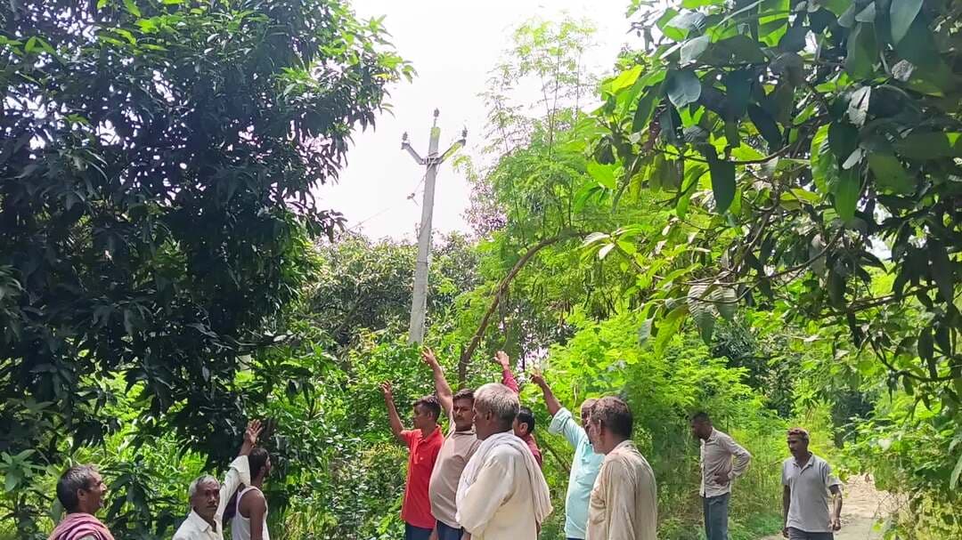 Tashi milak me line cut kar li ha date 1.8.2026