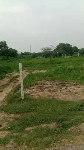 Mitaili me talav per 30 hajar paido ki liye ae the per is me 15 hajar hai paid lagaye hai
और सारा पैसा दलाल का गई ...