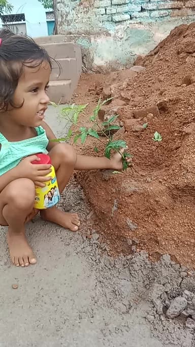 बिटिया रानी ने पेड़ लगाते हुए वातावरण में