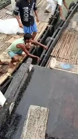 সন্দেশখালি ১: বামুনিয়া ফেরিঘাটের নিখোঁজ হয়ে যাওয়া ছাত্রের মৃতদেহ উদ্ধার হল ওই এলাকা থেকে