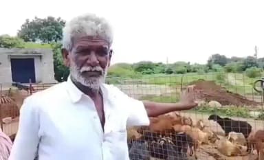 సిద్దిపేట అర్బన్: పాలమాకులలో ఆదర్శంగా సామూహిక గొర్రెలపాకలు, గొర్రెల దొంగతనాల నివారణకు సీసీ కెమెరాలు
