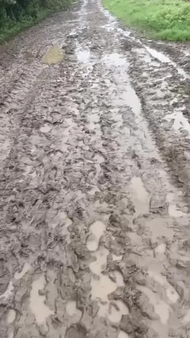 पंचायत बुधारी ग्राम धनगांव तहसील सिहोरा जिला जबलपुर