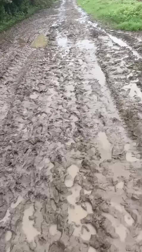 पंचायत बुधारी ग्राम धनगांव तहसील सिहोरा जिला जबलपुर