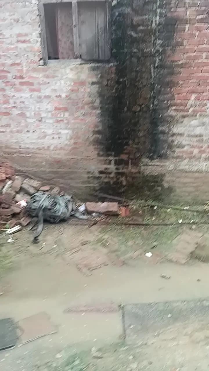 10-12 din ke bad sukun ki dhaan ki kheti ke liye barish ho rahi hai