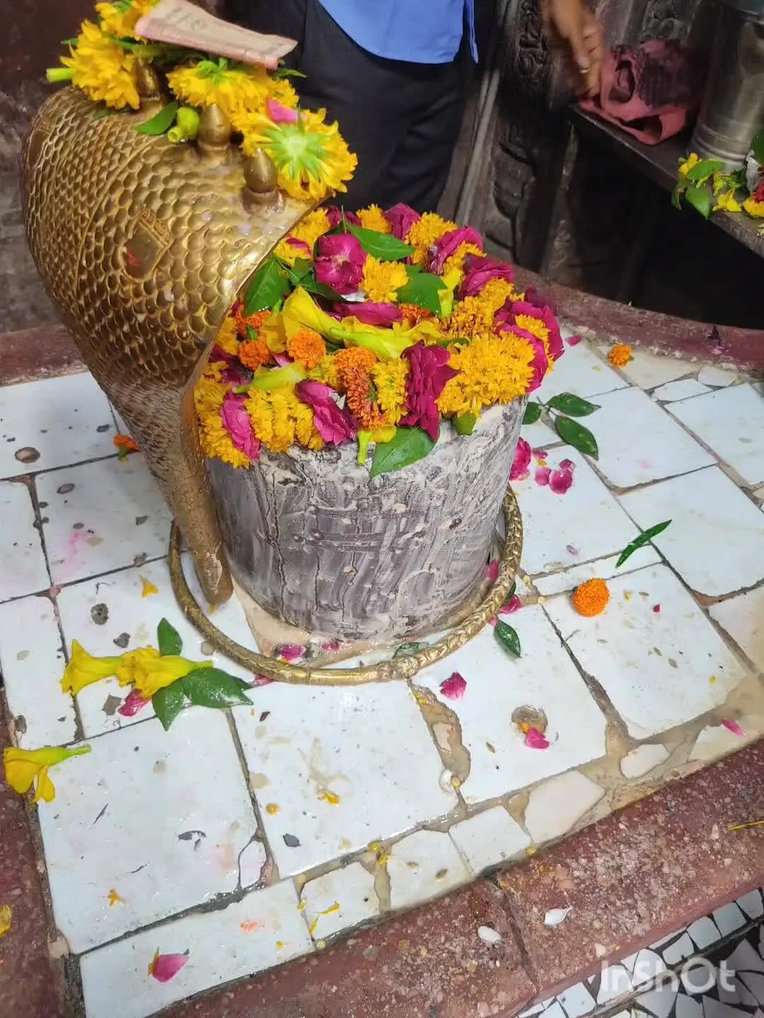 ग्राम देवराकला से नीलकंठ तक पैदल कबड़ यात्रा निकली गई ग्रामवासियो व पूरनलाल दूबे के सहयोग से भारी संख्या मै लोगो की भीड़ #