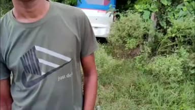 बाह: फरेरा के पास दो ऑटो की जोरदार टक्कर, चालक घायल हुआ