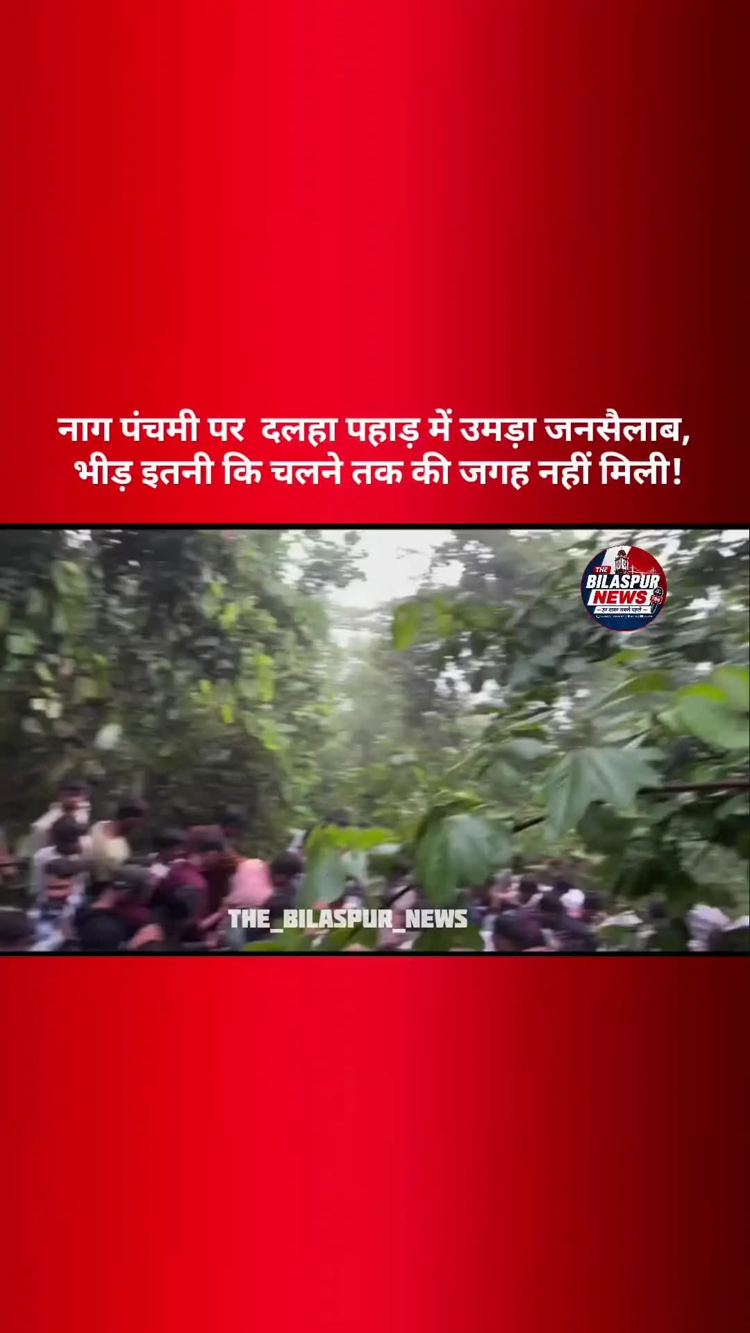 जांजगीर-चांपा के डलहा पहाड़ में नाग पंचमी के अवसर पर श्रद्धालुओं की भारी भीड़ देखने को मिली।