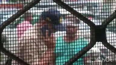 रघुराजनगर नगरी: सतना के कोलगवां थाना छेत्र सिंधी कैंप मे डी लोगो के बिच हुआ विवाद जिसमे एक छोट आई पहुआ थाने पुलिस ने करया मेडिकल