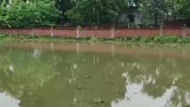बांसगांव: बांसगांव इलाके में नाग पंचमी की खुशियां मातम में बदलीं, तालाब में डूबने से तीन मासूमों की हुई मौत