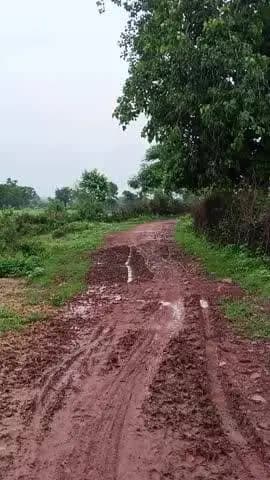 रोड की समस्या
बच्चों को स्कूल जाने में दिक्कत
ग्राम पंचायत देवरी कालोनी ब्लॉक बक्सवाहा जिला छतरपुर
मध्यप्रदेश