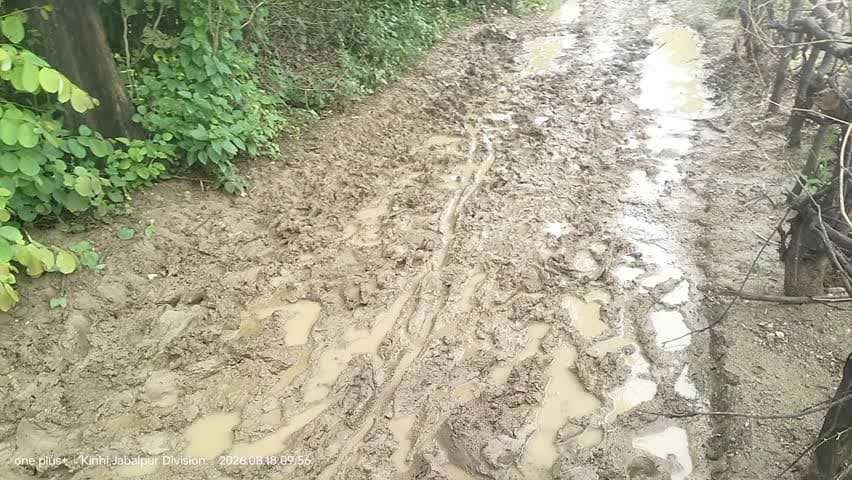 ग्राम नंबर टोला पंचायत जामदिमेता
श्मशान घाट जाने वाला रस्ता है बहुत खराब स्कूल के बच्चे एवं किसान भाइयों को हो रह दिक्कत