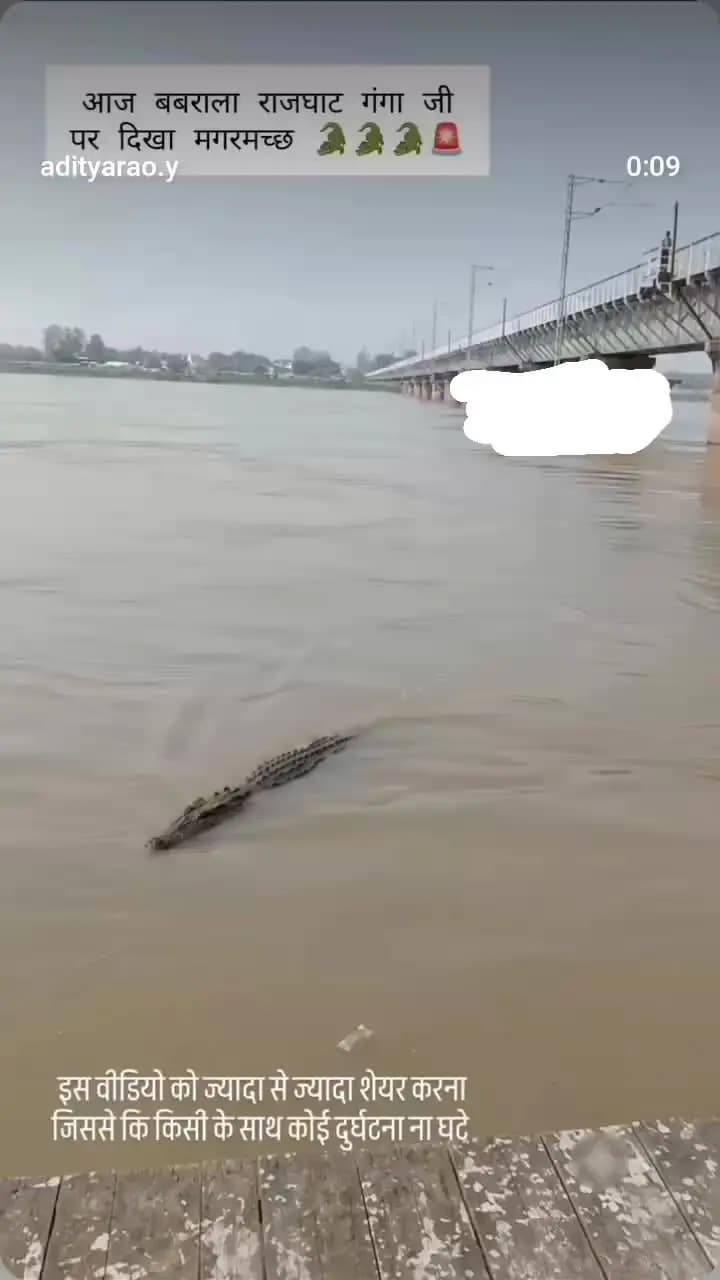 breaking news ganga Nadi mein aaya crocodile