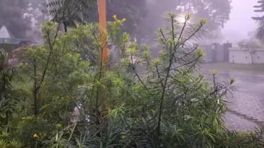 देहरादून: उत्तराखंड में बारिश से हालात बिगड़े, 8 नदियां वार्निंग लेवल के पार, 91 सड़कें बंद; देहरादून में स्कूल भी बंद