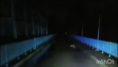 भगवानपुर: धनौरी के पास नदी के पुल के बीच विशालकाय मगरमच्छ दिखाई देने से क्षेत्र में मची दहशत, वीडियो हुआ वायरल