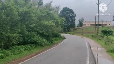 बांसजोर: जलडेगा में सड़क किनारे उगी झाड़ियाँ दुर्घटनाओं को दे रही न्योता, कटाई की मांग