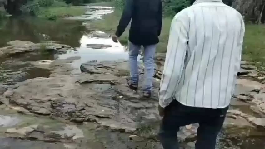 जोहार राम राम मैं कुक्षी विधानसभा 198 के एक गांव ग्राम गिरवानिया फाटला मूवड़ा अवस्यापूरा,डुडवापूरा,जमरा पूरा का यह वीडिय