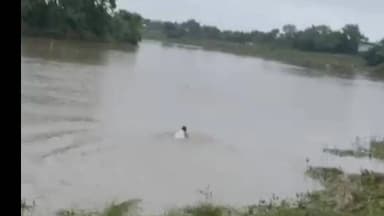 रायसेन: बेतवा में बच्ची की जान बचाने वाले रायसेन के विनोद पटेरिया को ₹10 हज़ार इनाम व प्रशंसा पत्र