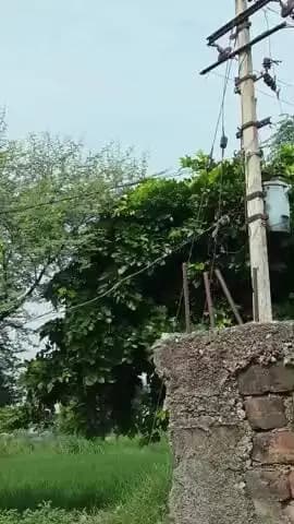 गांव कमरपुर बैजुआ जिला फिरोजाबाद अराव बिजलीघर कोई भी सुनवाई नहीं कर रहा है