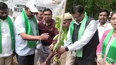 హనుమకొండ: హన్మకొండ కాకతీయ విశ్వవిద్యాలయం స్వర్ణోత్సవాల్లో పచ్చదనం.. వర్సిటీ ప్రాంగణంలో మొక్కలు నాటిన వీసీ ఆచార్య ప్రతాప్ రెడ్డి