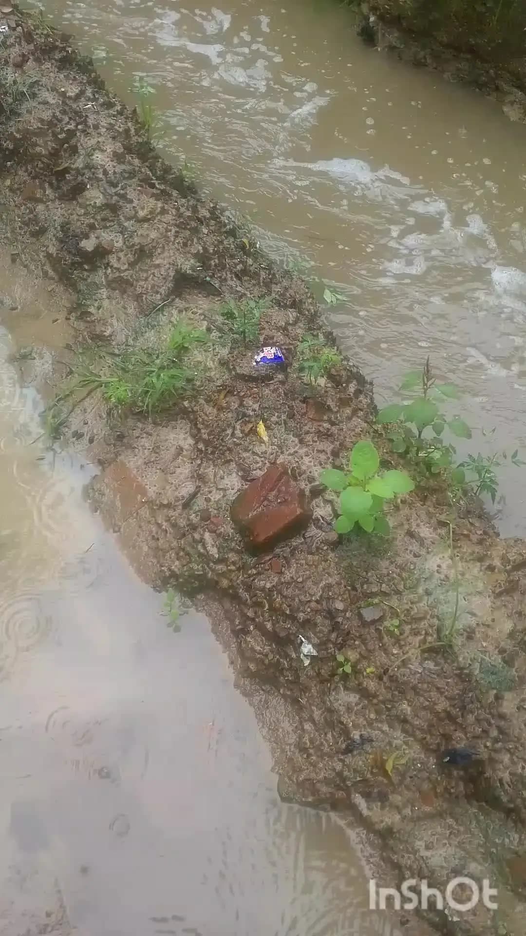 ग्राम सैरपुर पोस्ट डीग बिन्दकी फतेहपुर में पानी का निकास न होने के कारण लोगों के घरों के अंदर घुसा पानी।