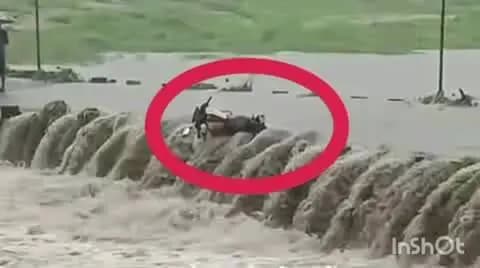 चितरंगी: मोरवा की बिजुल नदी में बड़ा हादसा टला बहते पानी में बाइक छोड़कर युवक ने बचाई जान
