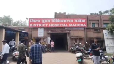 महोबा: कुलपहाड़ में सर्प दंश से 3 वर्षीय मासूम की मौत, जिला अस्पताल में उसे मृत घोषित किया गया
