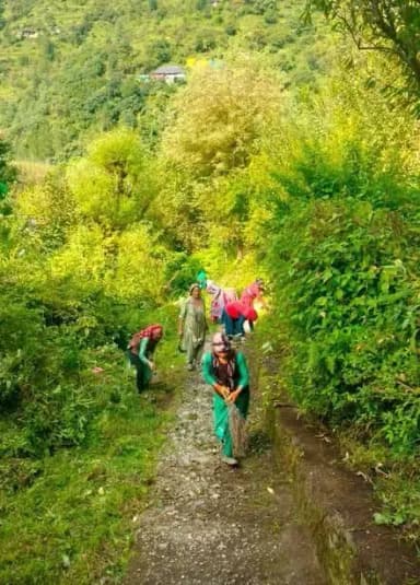 बंजार: 'नारी शक्ति महिला मंडल' ने शॉहल गांव के रास्ते साफ कर बढ़ाई सुविधाएं