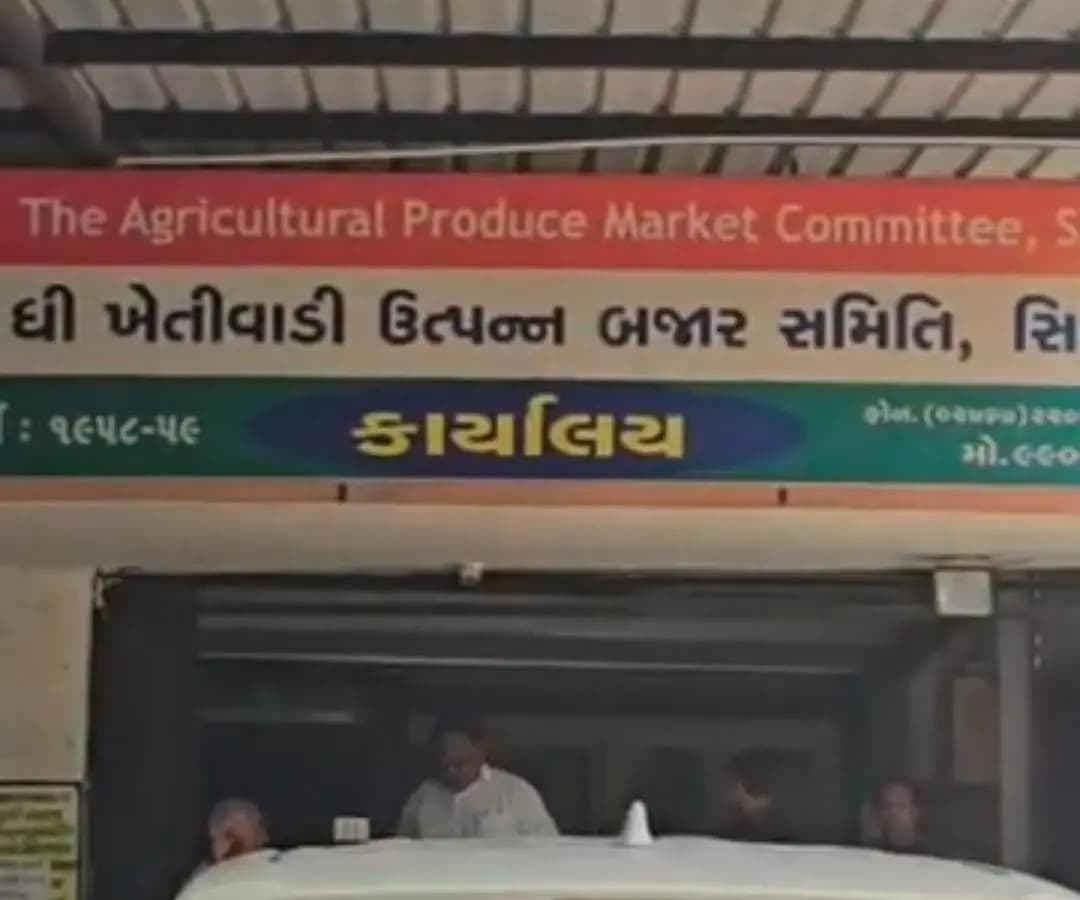 સિધ્ધપુર: સિધ્ધપુર એપીએમસીમાં હરાજી શરૂ થતાં આવકમાં 10 દિવસમાં નોંધપાત્ર વધારો