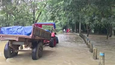 লাভপুর: টানা বৃষ্টির জেরে জল বেড়েছে লাভপুরে কুয়ে নদীতে