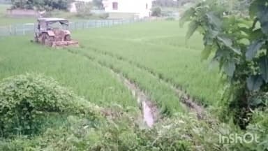 হবিবপুর: হবিবপুর রাইসমিল হাট রাজ্য সড়কে ট্রাক্টরের ধাক্কায় আহত তিন