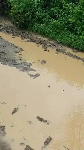 ग्राम पंचायत खिरवा नंबर 1 ग्रामीण क्षेत्र कि सडक से युवा हो रहे परेशान गाव के सरपंच हे गममुख सचिव सिक्रेटरी नही दे रहे