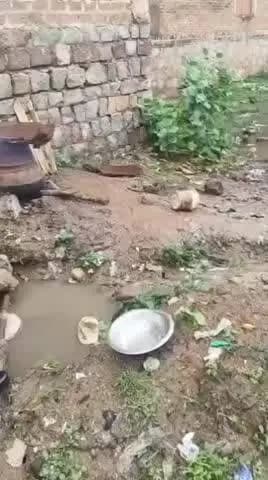 टीकमगढ़: टीकमगढ़ में कच्ची शराब के कथित अवैध जखीरे पर कोतवाली पुलिस की कार्रवाई, वीडियो वायरल