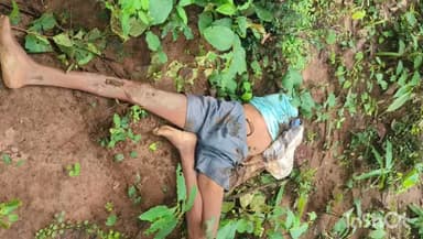 प्रतापपुर: सिंघरा जंगल में हाथी के हमले में एक व्यक्ति की मौत, साथी ने भागकर बचाई जान