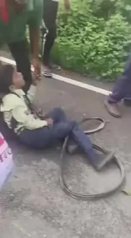मछलीशहर: मुंगरा बादशाहपुर के धरमपुर में प्राइवेट बस और स्कूल वैन के बीच हुई टक्कर, कई बच्चे गंभीर रूप से घायल