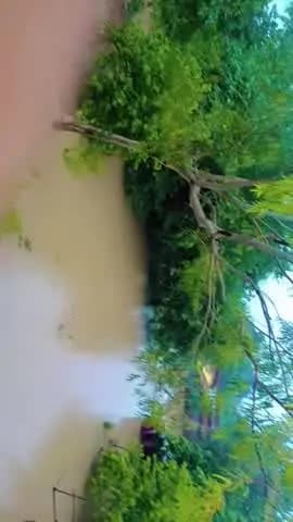 hamare gav me bhari barish ki wajah se padh a gai hai