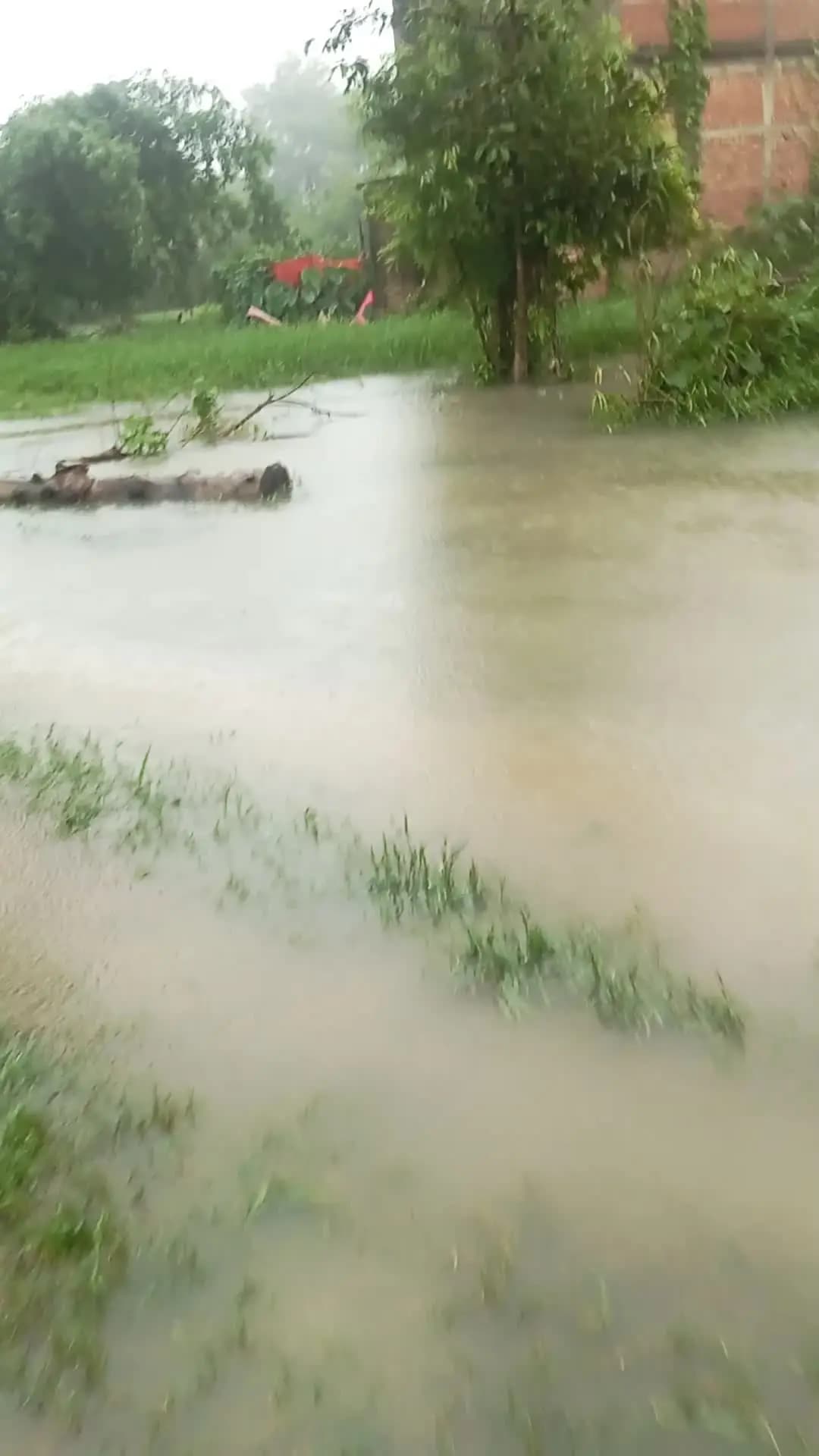 Tej Barish se prabhavit gaav