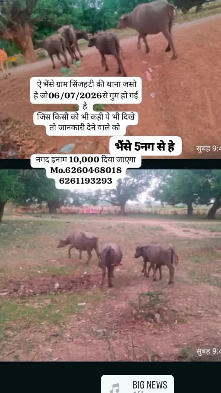 Gram sijahati ----post amkui thana jaso
nagod satna
ki 5Nag bhese gum he jis kisi ko koi jankari lege to sampark kare