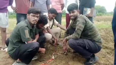 కాగజ్నగర్: గుండాయిపేట గ్రామ శివారులో పులి పాదముద్రలు