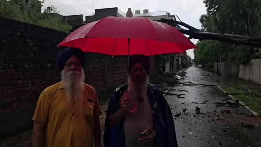 ਗੁਰਦਾਸਪੁਰ: ਸਕੀਮ ਨੰਬਰ 7 ਦੇ ਵਿੱਚ ਇੱਕ ਵੱਡਾ ਹਾਦਸਾ,,ਕੋਠੀ ਉੱਤੇ ਡਿੱਗ ਗਿਆ 100 ਫੁੱਟ ਲੰਮਾ ਸਫੈਦਾ ਲੋਕਾਂ ਚ ਮਚੀ ਦਹਿਸ਼ਤ