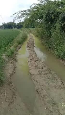 Mainpuri district ke block kishni gram panchayat Chitayan ke nagla bankhandi se badanpur ke liye jane wala rasta