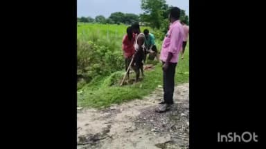 नवाबगंज: देवा-भयारा मार्ग पर 6 हजार पौधों से लौटेगी हरियाली