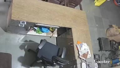बड़वानी: दवाना में अनाज व्यापारी की दुकान में घुसा सांप, CCTV में कैद; रेस्क्यू कर जंगल में छोड़ा