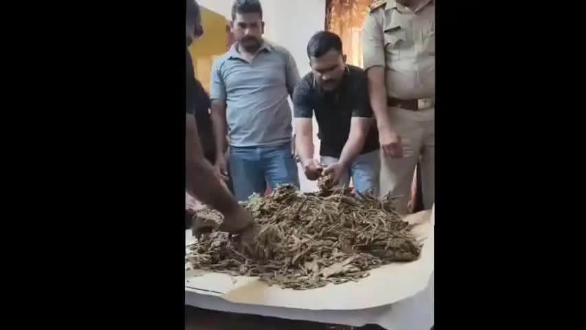 കണ്ണൂർ: കണ്ണൂരിൽ ടൗണിൽ വൻ കഞ്ചാവ് വേട്ട,
12 കിലോ കഞ്ചാവുമായി 3 യുവാക്കൾ അറസ്റ്റിൽ