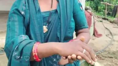 रायसेन: बरौला गांव में 3 एकड़ जमीन के बंटवारे को लेकर विवाद, भतीजों ने चाचा-चाची को लाठियों से पीटा, मामला दर्ज