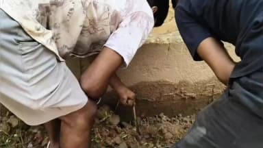 নাকাশিপাড়া: জেসিএম হাইস্কুল থেকে পূর্ণবয়স্ক গোখরো সাপ নিরাপদে উদ্ধার করেন স্নেক রেসকিউ কর্মী দীপঙ্কর চক্রবর্তী ও সনজিৎ ভদ্র