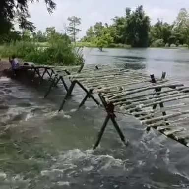 जोगापट्टी: गंडक का जलस्तर बढ़ने से बड़हरवा-चौमुखा सड़क पर आवागमन बाधित, ग्रामीणों ने बनाया चचरी पुल
योगापट्टी