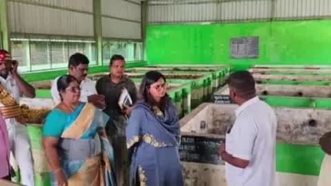 வாலாஜா: வாலாஜாவில் இரண்டாவது கட்டமாக உங்களைத் தேடி உங்கள் ஊர் திட்டத்திற்கு ராணிப்பேட்டை மாவட்ட ஆட்சியர் ஆய்வு